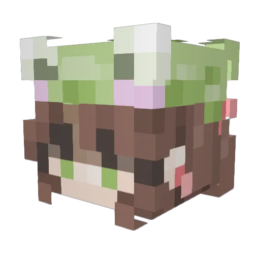 Froggers223 Minecraft avatar head, 3D render