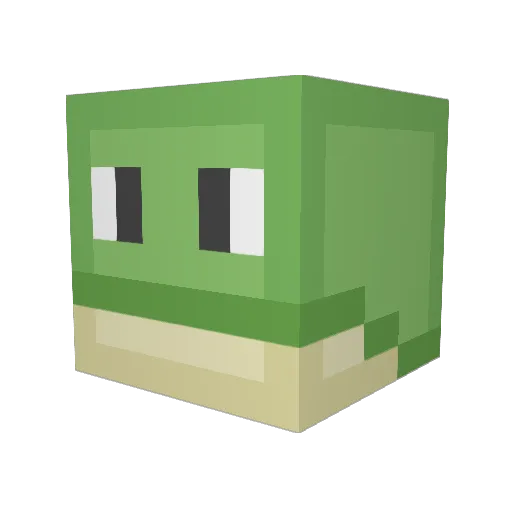 Froggetti Minecraft avatar head, 3D render