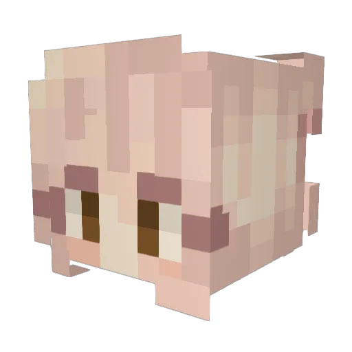 Froggi4624 Minecraft avatar head, 3D render