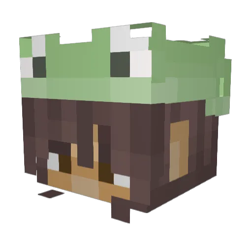 Froggi_Astronaut Minecraft avatar head, 3D render
