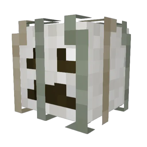 Froggiboiii Minecraft avatar head, 3D render