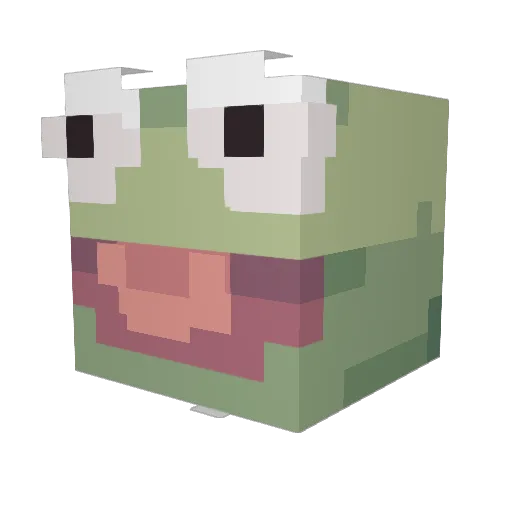 FroggieFlyer Minecraft avatar head, 3D render