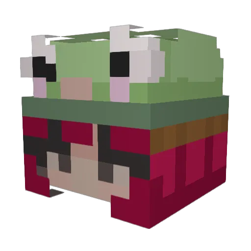 FroggieOT Minecraft avatar head, 3D render