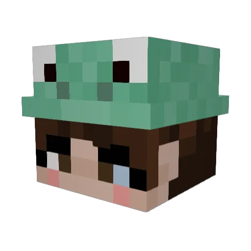FroggiePrince Minecraft avatar head, 3D render