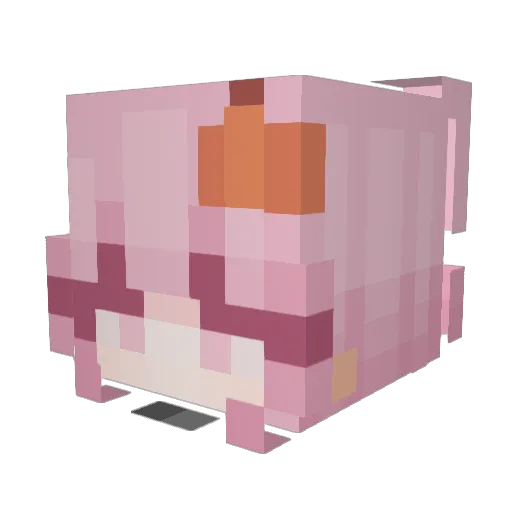 Froggie_Vibe Minecraft avatar head, 3D render