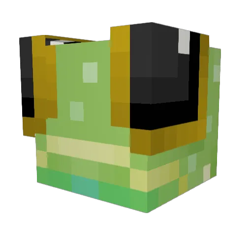 Frogglier Minecraft avatar head, 3D render