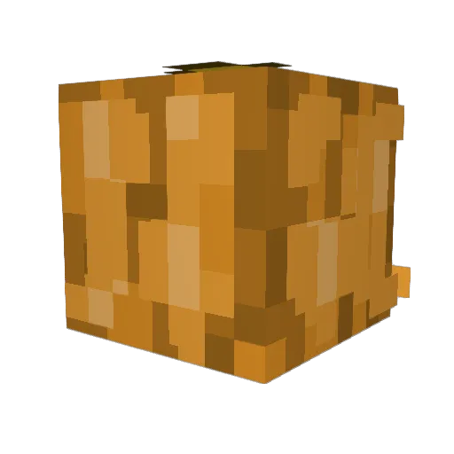 Froggy006 Minecraft avatar head, 3D render
