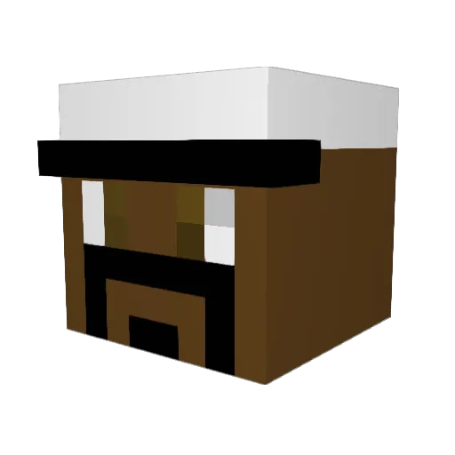 Froggy173 Minecraft avatar head, 3D render