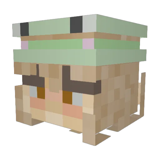 Froggy3030 Minecraft avatar head, 3D render