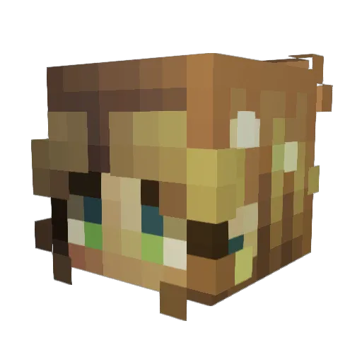 Froggy7315 Minecraft avatar head, 3D render