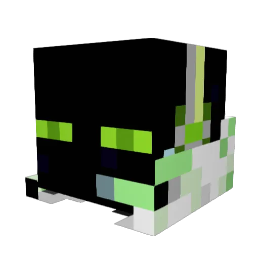 FroggyBoy57609 Minecraft avatar head, 3D render