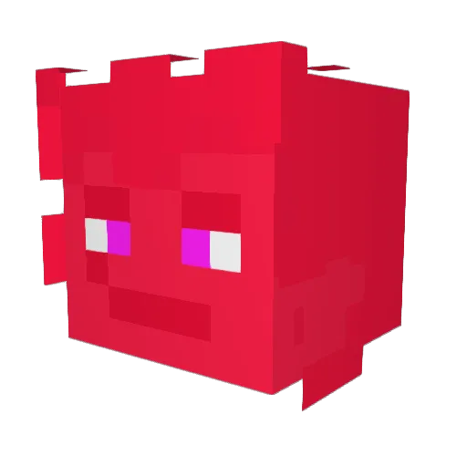 FroggyFrogFrog Minecraft avatar head, 3D render