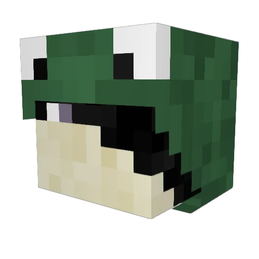 FroggyGames21 Minecraft avatar head, 3D render