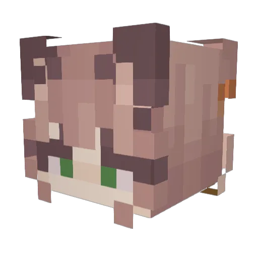 FroggyMine Minecraft avatar head, 3D render