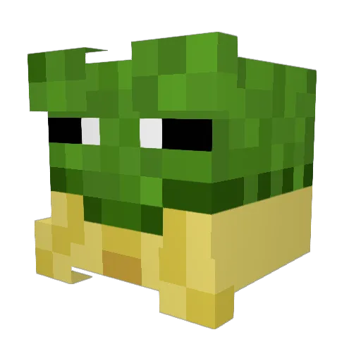 Froggy_110 Minecraft avatar head, 3D render