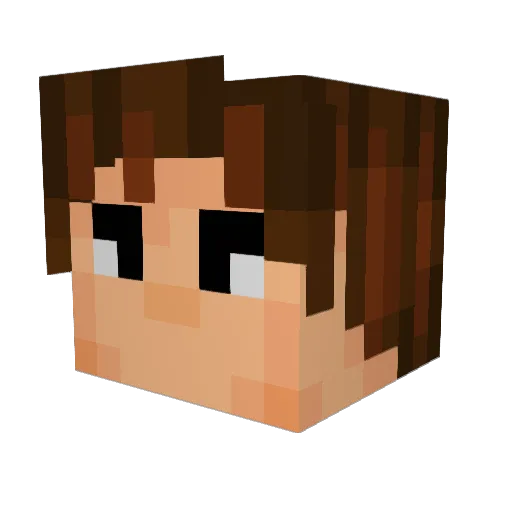 Froggy_FR Minecraft avatar head, 3D render