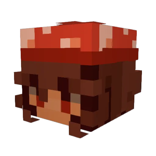 Froggy_boy Minecraft avatar head, 3D render