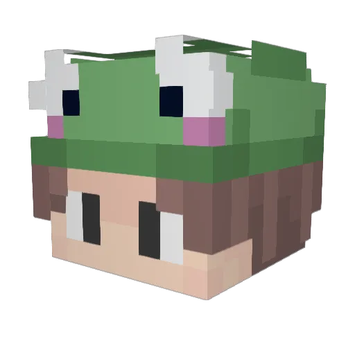 Froggyboo Minecraft avatar head, 3D render