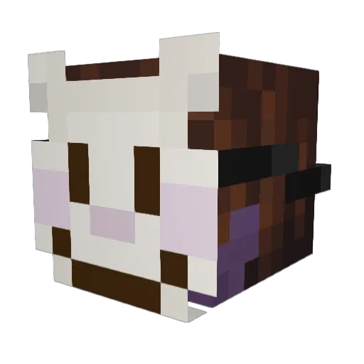 Froggyeric Minecraft avatar head, 3D render
