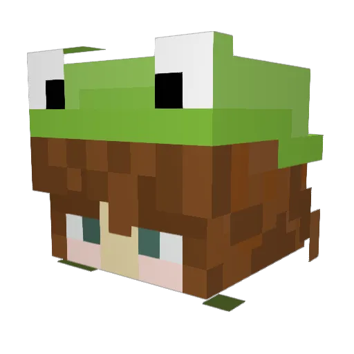 Froglish Minecraft avatar head, 3D render