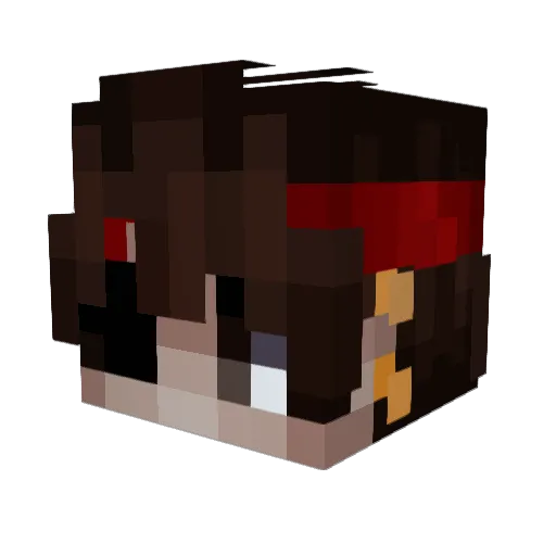 Frogms Minecraft avatar head, 3D render