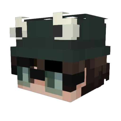 Frogoo Minecraft avatar head, 3D render