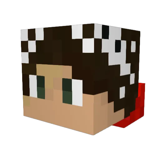 Frogs4peace Minecraft avatar head, 3D render