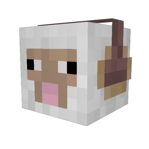 Frogs_ArePog Minecraft avatar head, 3D render