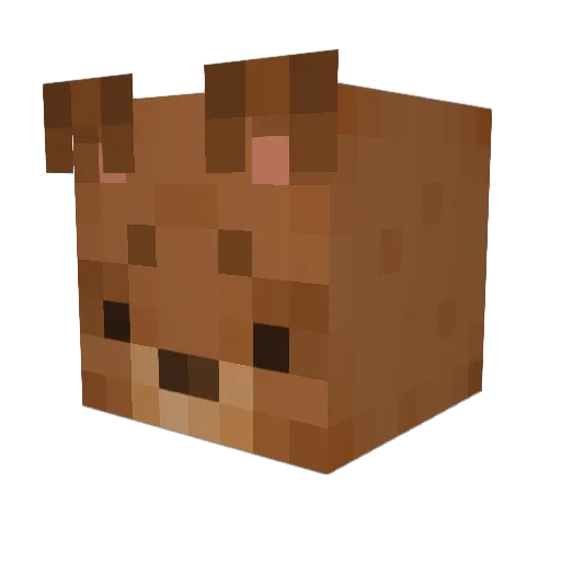 Frogs_Breath Minecraft avatar head, 3D render