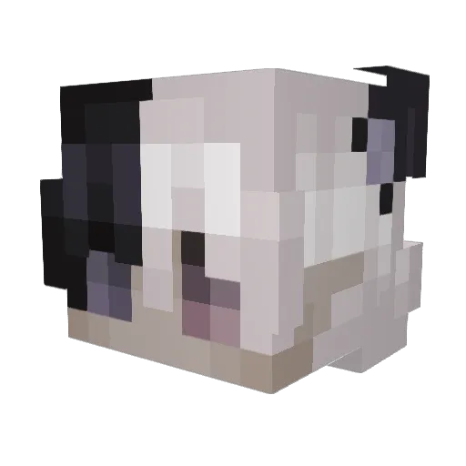 Frogsarecool2022 Minecraft avatar head, 3D render