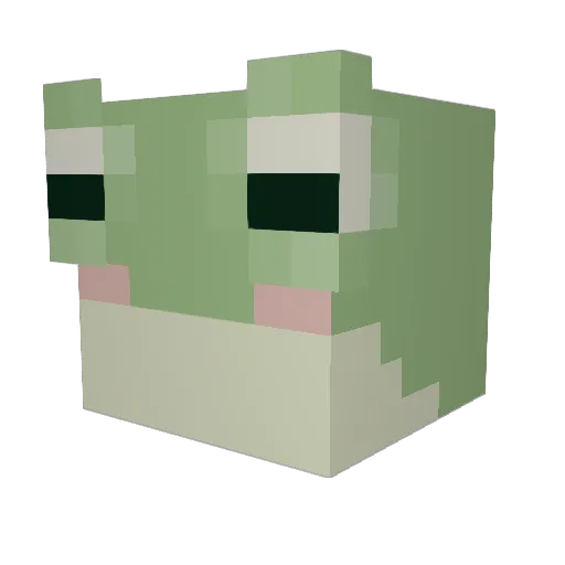 FrogsoupSwag Minecraft avatar head, 3D render