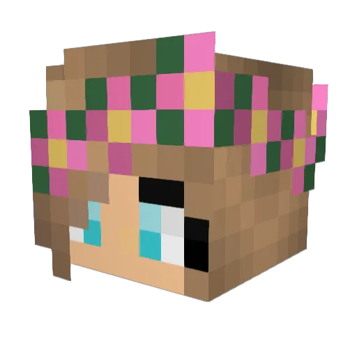 Frogtoad3 Minecraft avatar head, 3D render