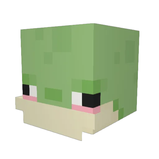 Frogwegs Minecraft avatar head, 3D render