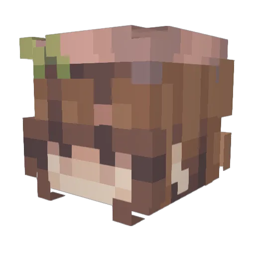 Frogxyy Minecraft avatar head, 3D render