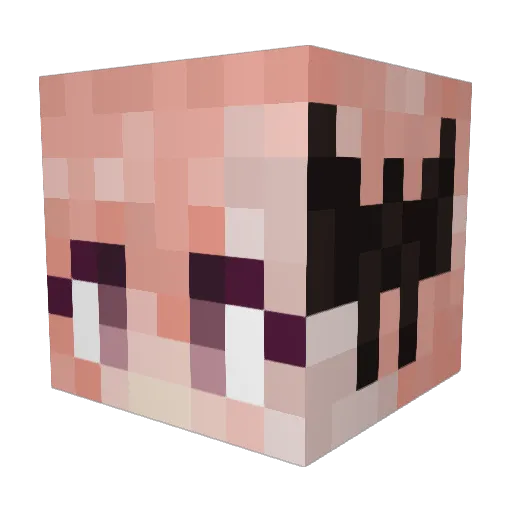 Frogzzweeb Minecraft avatar head, 3D render