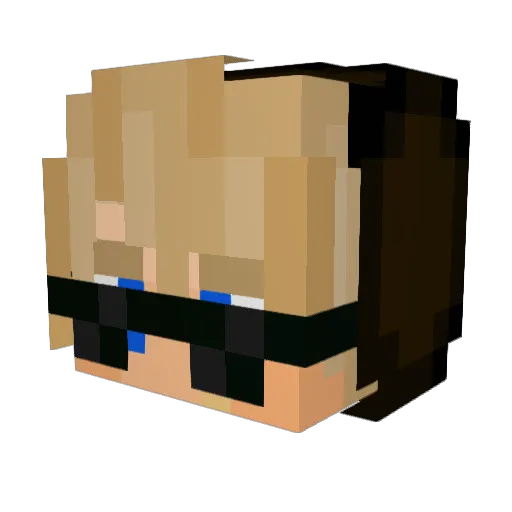FrolGotNoHome Minecraft avatar head, 3D render