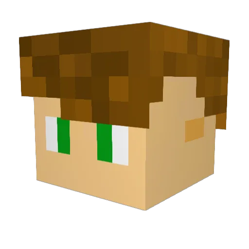 Frolickx Minecraft avatar head, 3D render