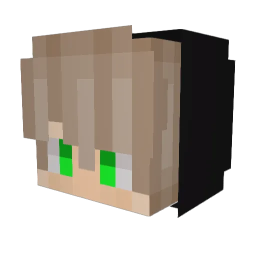Frommii Minecraft avatar head, 3D render