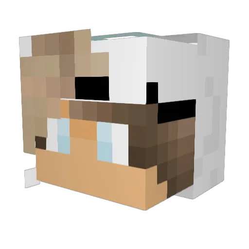 FronaaX Minecraft avatar head, 3D render