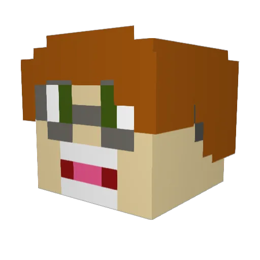 FrontalLobe88 Minecraft avatar head, 3D render