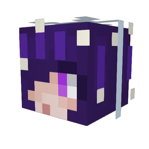 Froobielent Minecraft avatar head, 3D render