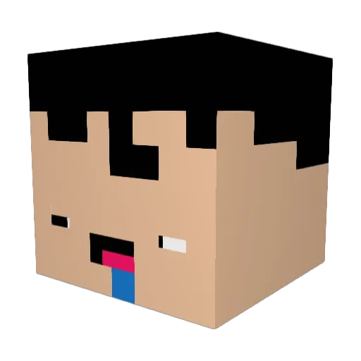 Froodo_Hobbit Minecraft avatar head, 3D render