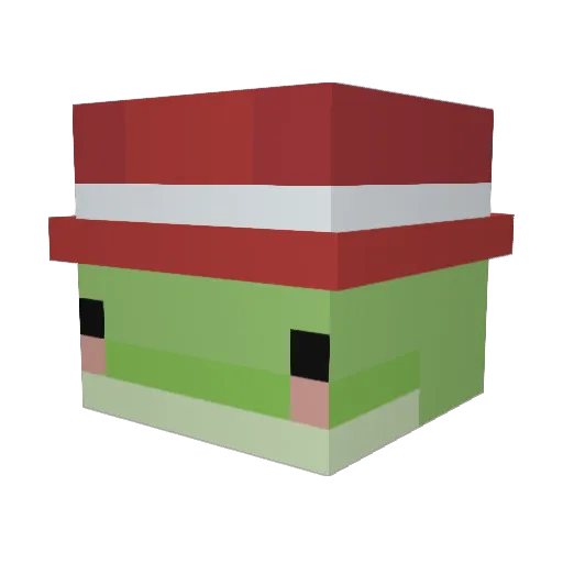 Froogy15 Minecraft avatar head, 3D render