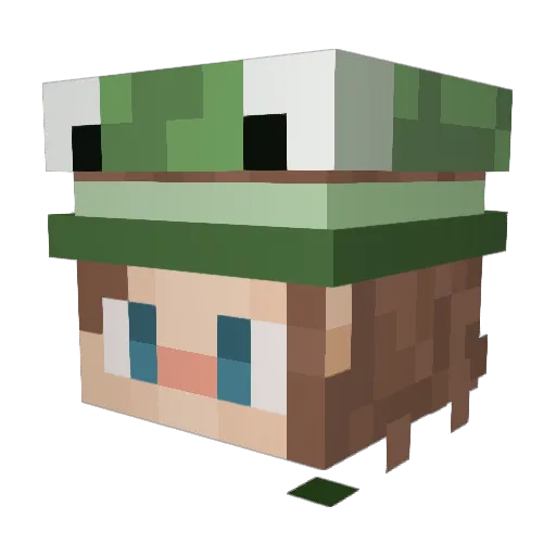 Frooooooschie Minecraft avatar head, 3D render