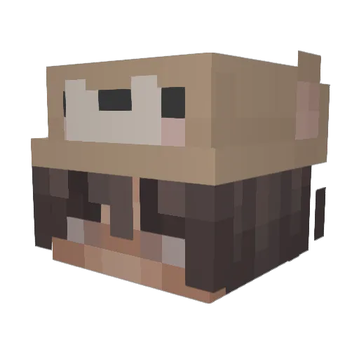 Frootlooptyler Minecraft avatar head, 3D render