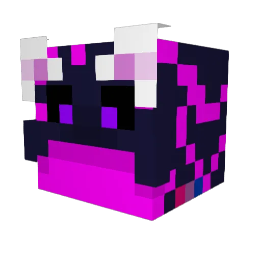 Froppio Minecraft avatar head, 3D render