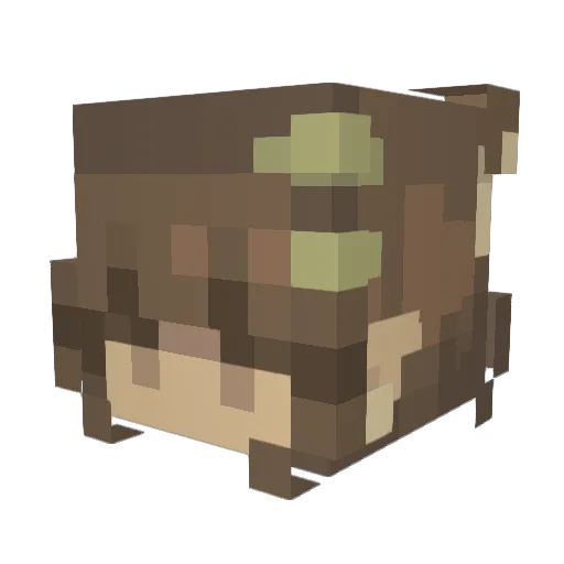 Froppy532 Minecraft avatar head, 3D render