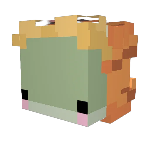 FroppyLili Minecraft avatar head, 3D render