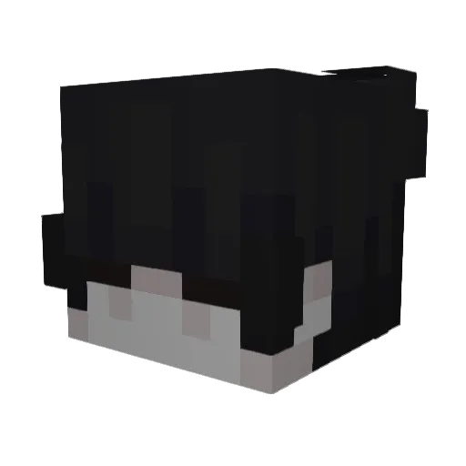 Froppy_21 Minecraft avatar head, 3D render