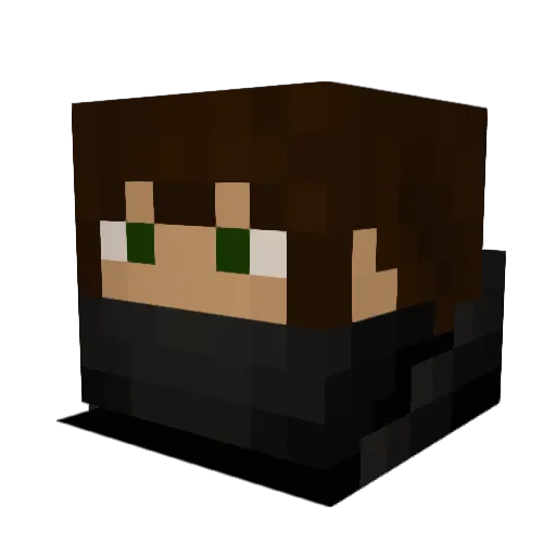 Frosch1995 Minecraft avatar head, 3D render